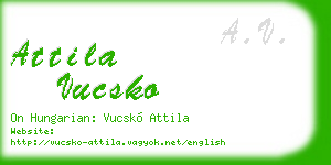 attila vucsko business card