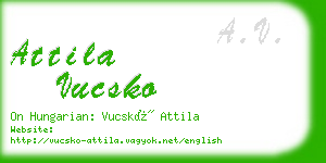 attila vucsko business card